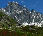 L'Olan point culminant du Valjouffrey